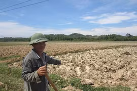 Drought hits Vietnam’s southern localities