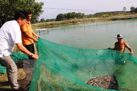 Restructuring agriculture to adapt to climate change