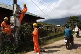 EVN accelerates rural grid transfer
