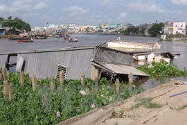Can Tho seeks financial assistance for climate change adaptation