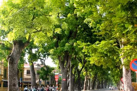 Hanoi works towards green city