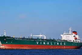 Vietnamese cargo carriers face tough targets