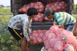 Mekong Delta localities calls for investment