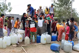 Ninh Thuan gives 210 tonnes of seeds drought-affected farmers 