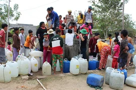 Ninh Thuan gives 210 tonnes of seeds drought-affected farmers 