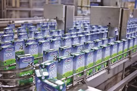 Vinamilk leads local share gains