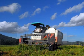 Japanese businesses seek investment opportunities in Mekong Delta