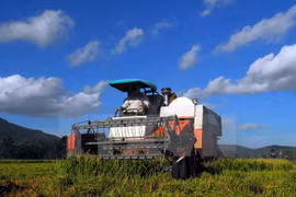Japanese businesses seek investment opportunities in Mekong Delta