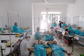  Hungary backs Can Tho in building cancer hospital 