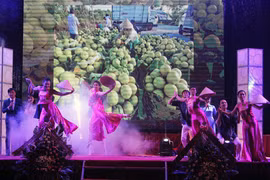 Central Highlands agriculture, trade fair 2015 opens 