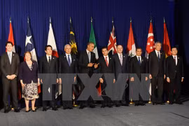 Leaders vow to bring TPP pact into force soon 