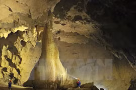 Germany finances conservation efforts in national park