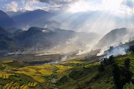 Exhibition exchanges love between VN, RoK
