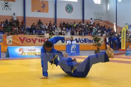 Vovinam gains growing following across Africa