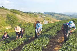 NA calls for better land management