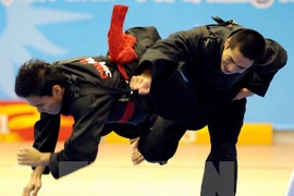 Vietnam, Laos increase sports cooperation 