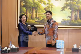 Vietnam seeks closer judicial cooperation with Indonesia