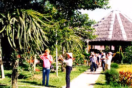 Cultural events to promote Mekong Delta tourism
