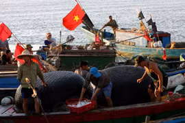 Vietnam, Indonesia discuss Exclusive Economic Zone delimitation 