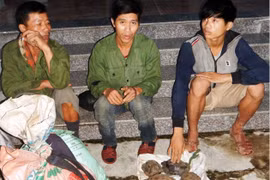 Large-number wild animal traps seized in Quang Binh