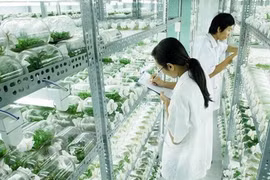 Hi-tech zones aim to improve farming sector 