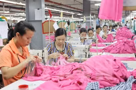ILO ready to support Vietnam to fine-tune labour-related regulations