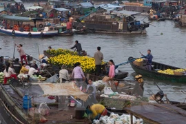 Can Tho to fix up floating market