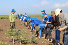 Foreign NGO aid poured into Ben Tre 