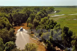 Panels seek to examine Truong Son biodiversity 