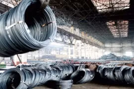 Steel industry might grow 12 percent in next 2 years 