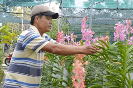  Int’l agency puts forth financial support for Vietnamese agriculture