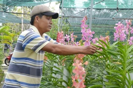  Int’l agency puts forth financial support for Vietnamese agriculture