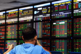 Vietnamese bank shares fall on inspection plan