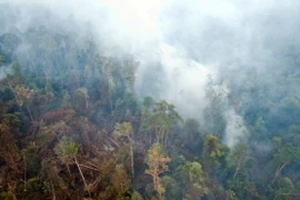 Japan helps Indonesia tackle fires