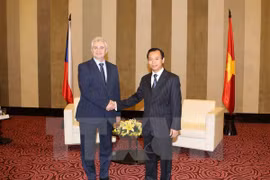 Czech Senate President visits Da Nang city 