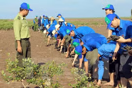 Ben Tre to plant submerged forests