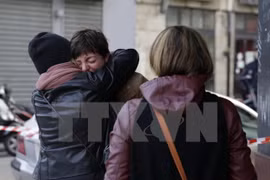 Ambassador: No Vietnamese casualties reported in Paris attacks 