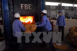 Tra Vinh: Financial support given to SMEs to protect environment 