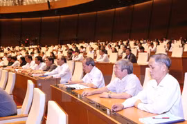 National Assembly adopts draft revised Civil Code 