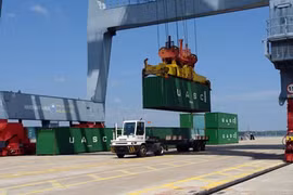 FDI, domestic sector need better balance 