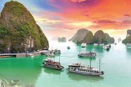 30 years of Ha Long Bay’s recognition as World Natural Heritage