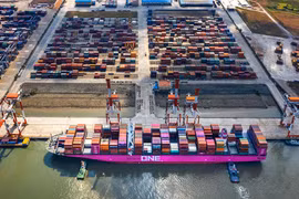 Vietnam likely to export 6.7 million tonnes of rice this year