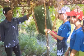 Binh Dinh develops traditional craft villages as tourism product