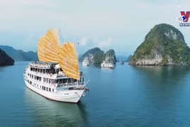 Ha Long Bay-Cat Ba Archipelago to seek world heritage recognition