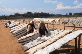 Binh Dinh to preserve dried noodle making trade