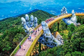 Tourism industry looks to bounce back