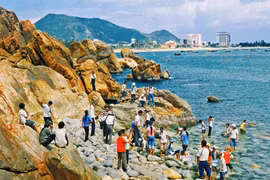 Binh Dinh works to make it more popular among tourists