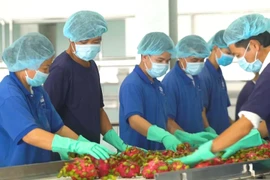 Commercialization of farm produce in Mekong Delta