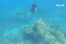 Humble guardian of Son Tra peninsula’s ecology