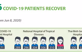 Nine more Covid-19 patients recover, total stands at 316